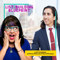 List Building Blueprint w/Navid Moazzez